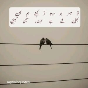 Best Urdu Poetry