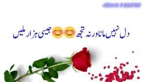 best urdu poetry,deep urdu poetry,urdu poetry 2 lines