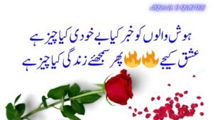 best urdu poetry,deep urdu poetry,urdu poetry 2 lines