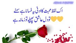 best urdu poetry,deep urdu poetry,urdu poetry 2 lines