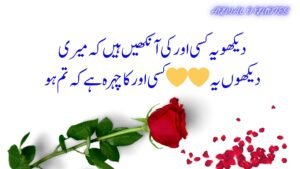 best urdu poetry,deep urdu poetry,urdu poetry 2 lines