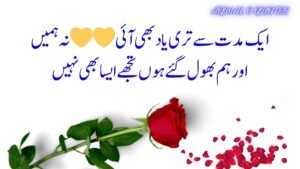 best urdu poetry,deep urdu poetry,urdu poetry 2 lines