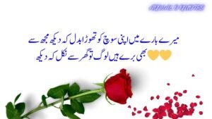 best urdu poetry,deep urdu poetry,urdu poetry 2 lines